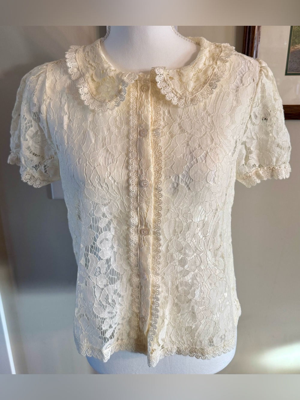 Ultra Pink Cream Lace Peter Pan Collar Button Up Blouse Size M